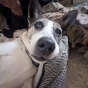 Meet your Posher, Maddie